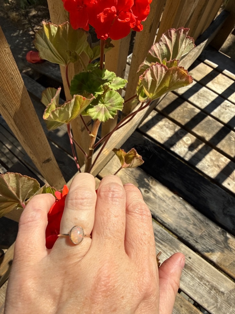 Instant Jewelry Collection - Picture 15 of 15